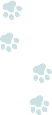 装飾：猫の足跡