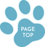 ボタン：ページトップ