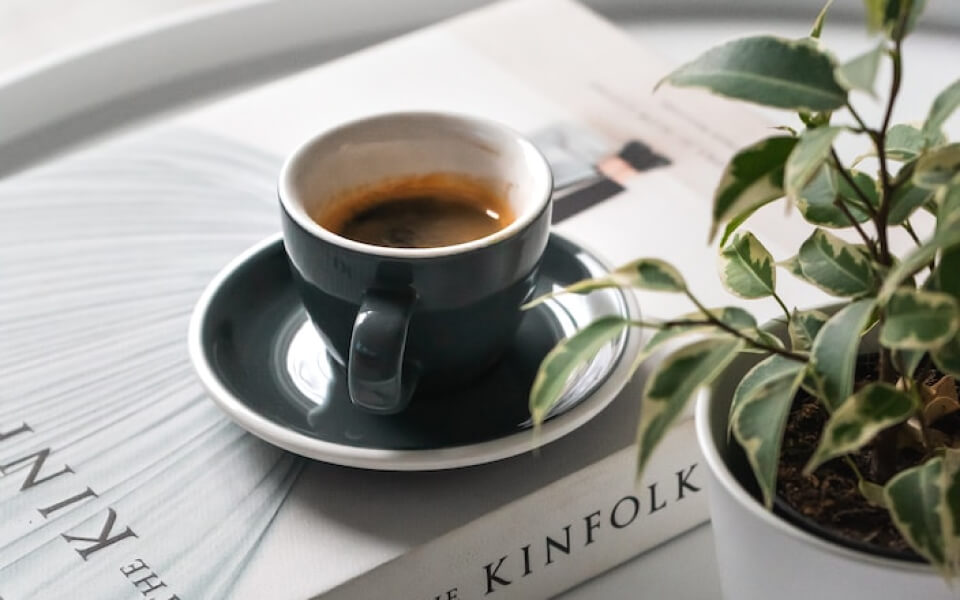 コーヒーと本と植物の写真です